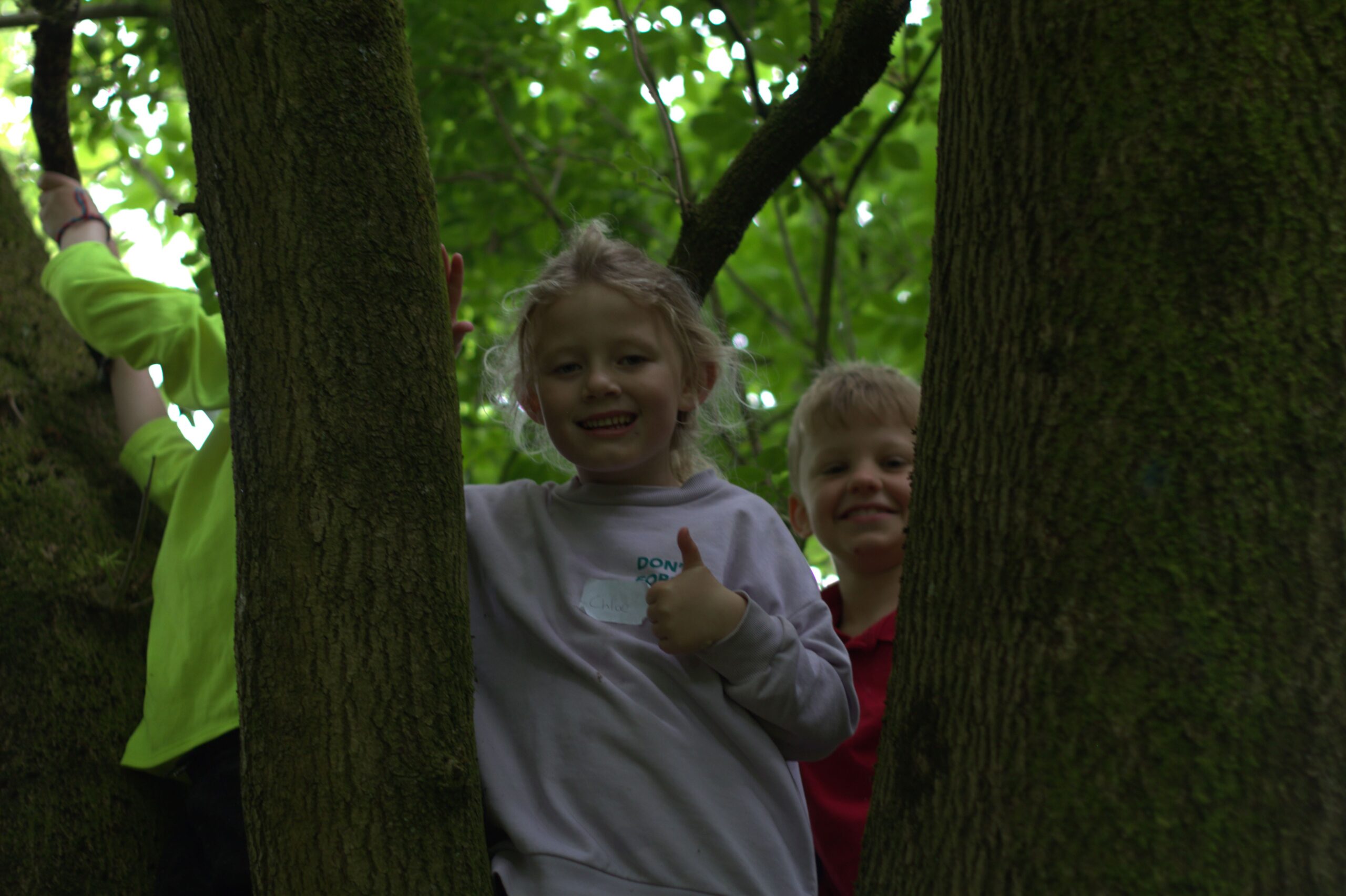Forest Camps - Wed 28th of Oct 2026 (7 - 12 year olds) - Image 3