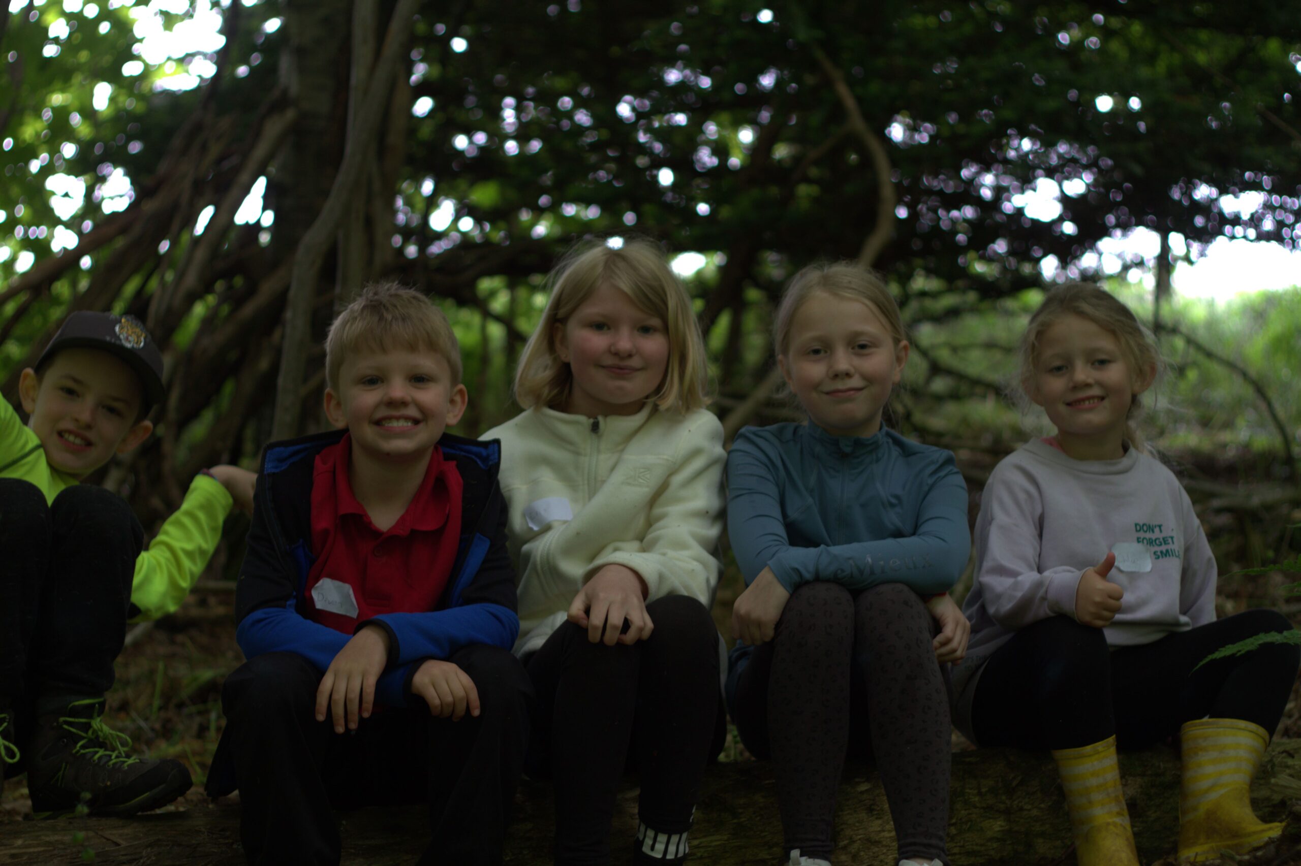 Forest Camps - Wed 28th of Oct 2026 (7 - 12 year olds) - Image 2