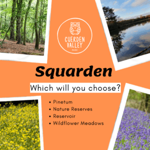 Squarden