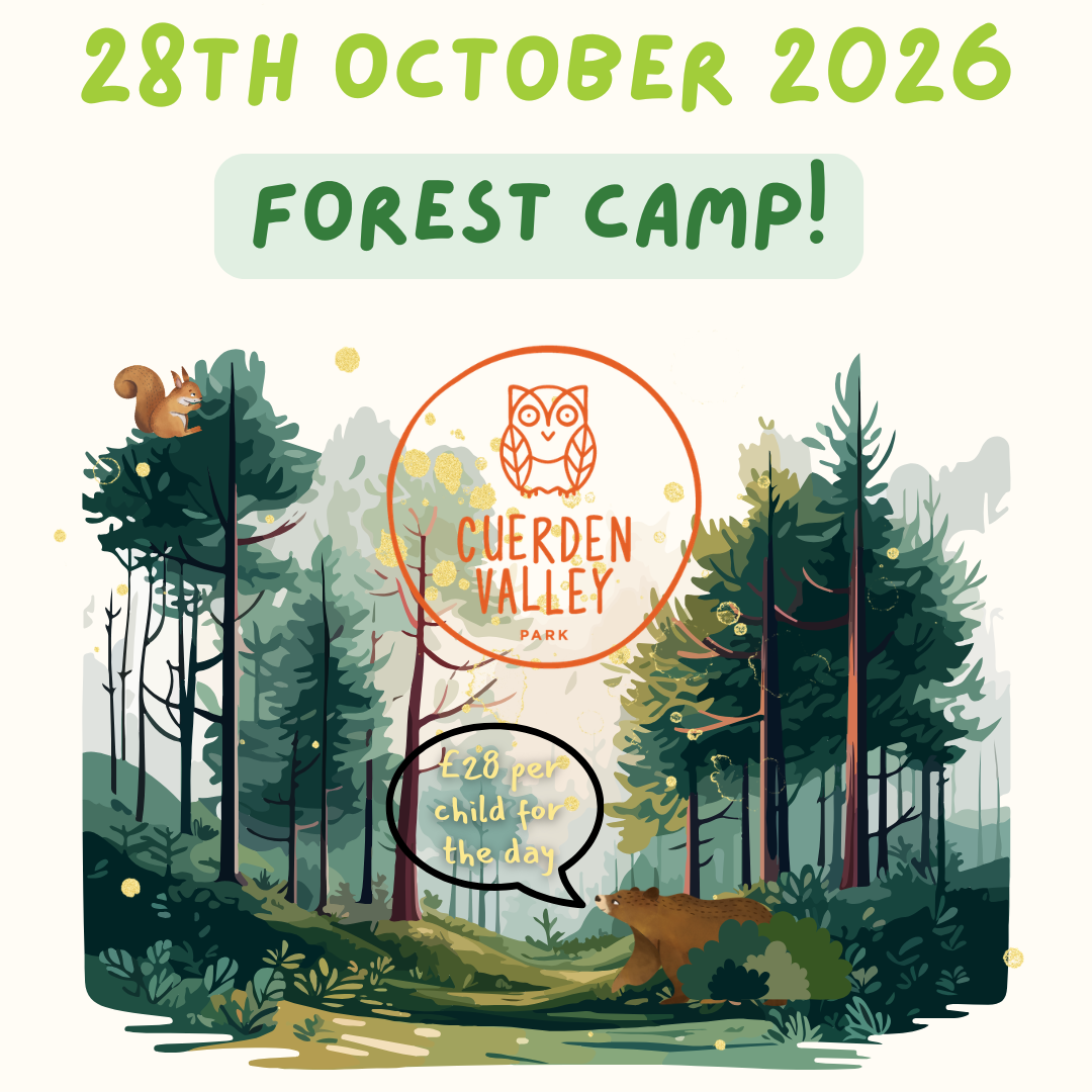 Forest camp 26 - Website (Product Image)